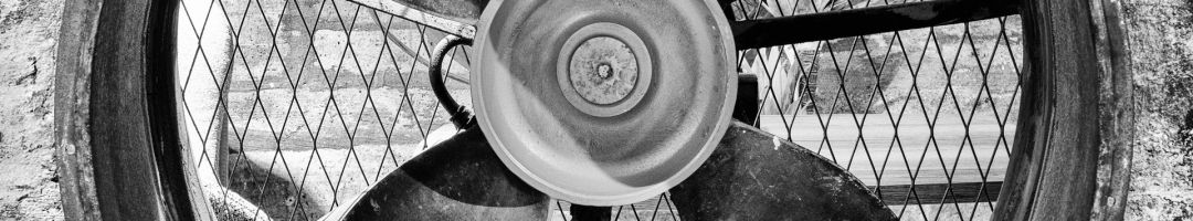 3.platz  cool  von helmut schwalm