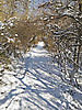 Winter_Weg